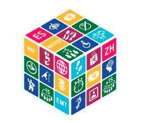 Diversity Rubik cube